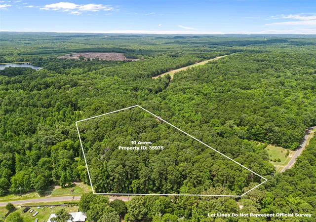 Photo 3 of Land for sale at 00001 N Cr 1527, Avinger, TX 75630 | MLS# 21375999 | Listing updated on 2026-09-02