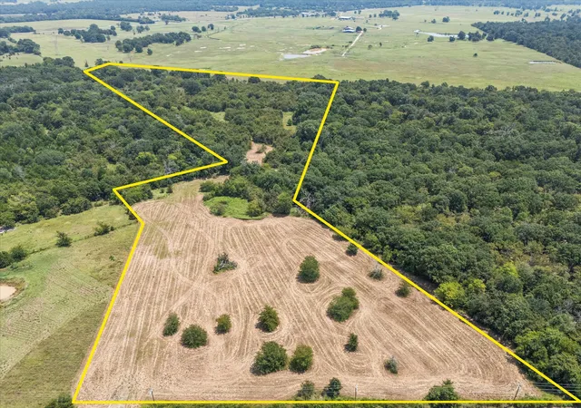 Photo 1 of Land for sale at 883 Fm 1653, Ben Wheeler, TX 75754 | MLS# 21374051 | Listing updated on 2026-09-03
