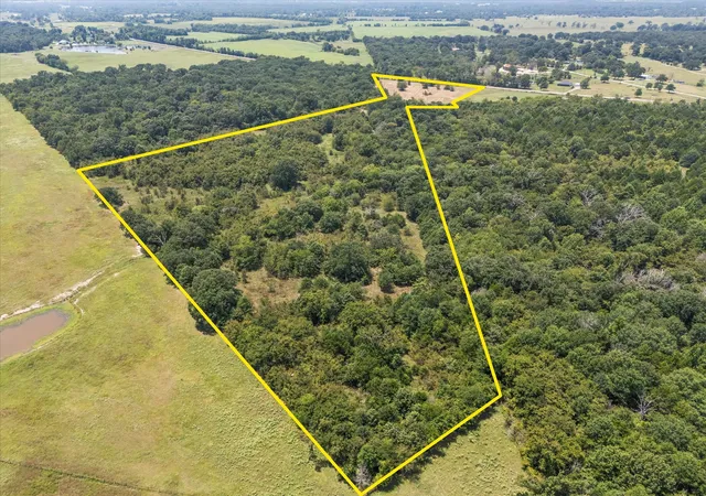Photo 2 of Land for sale at 883 Fm 1653, Ben Wheeler, TX 75754 | MLS# 21374051 | Listing updated on 2026-09-03