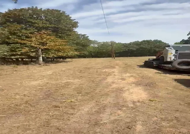 Photo 3 of Land for sale at Lot 21 22 23 Cr 1991, Yantis, TX 75497 | MLS# 21370195 | Listing updated on 2026-09-04