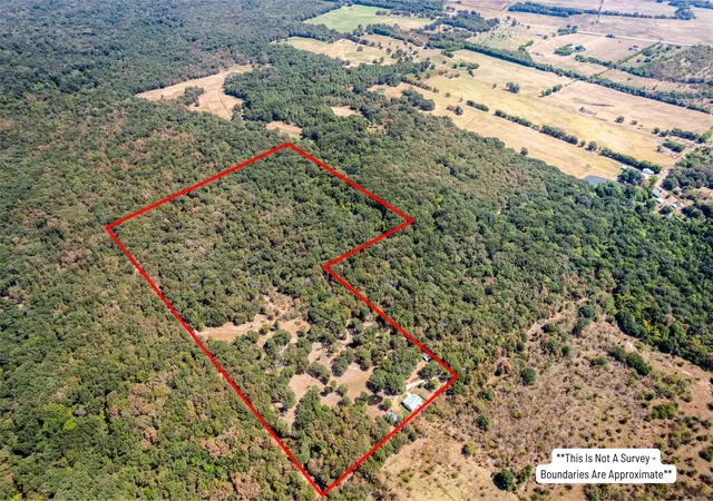 Land for sale at 3383 NW Cr 1030, Mount Vernon, TX 75457 | MLS# 21375886