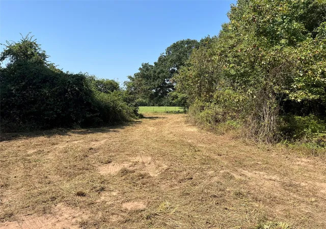 Photo 3 of Land for sale at 0000 Cr 2374, Detroit, TX 75436 | MLS# 21324891 | Listing updated on 2026-09-05