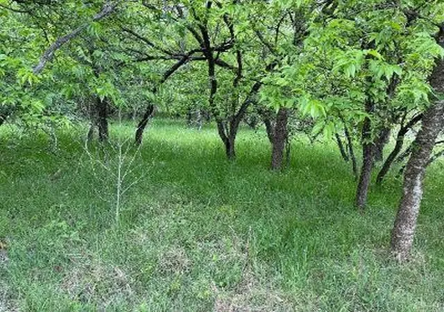 Photo 3 of Land for sale at 1980 Fm 933, Aquilla, TX 76622 | MLS# 21377073 | Listing updated on 2026-09-25
