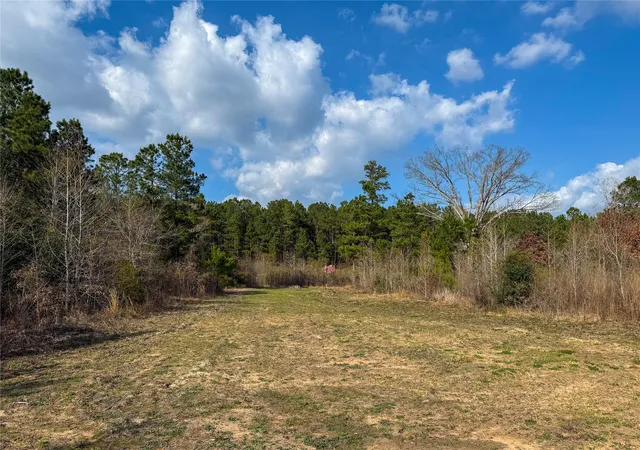 Photo 3 of Land for sale at Tbd County Rd 328, De Berry, TX 75639 | MLS# 21376779 | Listing updated on 2026-09-03