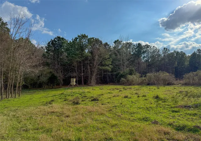Photo 4 of Land for sale at Tbd County Rd 328, De Berry, TX 75639 | MLS# 21376779 | Listing updated on 2026-09-03