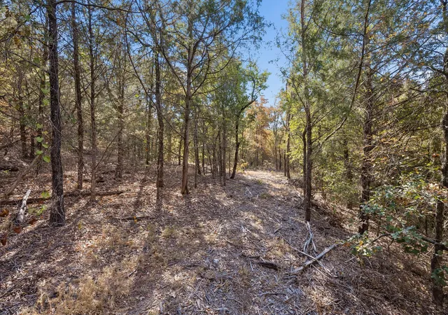 Photo 3 of Land for sale at 2301 Moseley (land) Rd, Cross Roads, TX 76227 | MLS# 21376833 | Listing updated on 2026-09-04