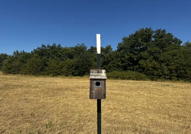 Photo 4 of Land for sale at 0 Sam Bass Rd, Sanger, TX 76266 | MLS# 21376580 | Listing updated on 2026-09-04