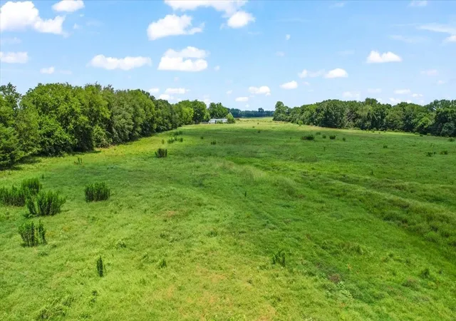 Photo 3 of Manufactured home for sale at 195 County Rd 2468, Winnsboro, TX 75494 | MLS# 21377579 | Listing updated on 2026-09-04
