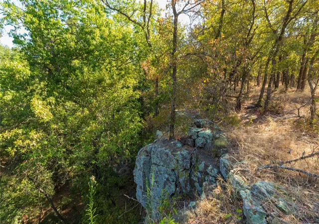 Photo 2 of Land for sale at 1282 Cr 461, Gorman, TX 76454 | MLS# 21378044 | Listing updated on 2026-09-24