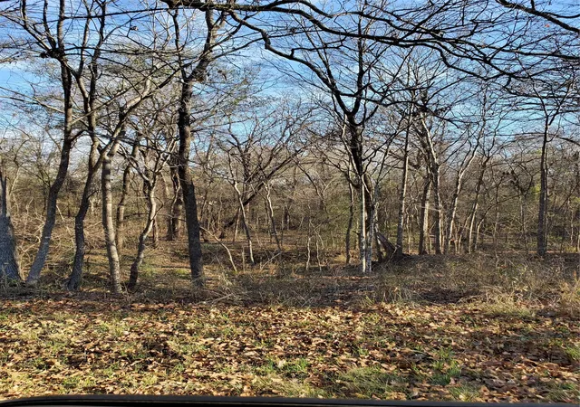 Photo 1 of Land for sale at 0 Wood Ln, Mabank, TX 75156 | MLS# 21378272 | Listing updated on 2026-09-04