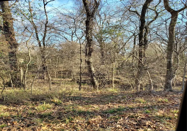 Photo 3 of Land for sale at 0 Wood Ln, Mabank, TX 75156 | MLS# 21378272 | Listing updated on 2026-09-04