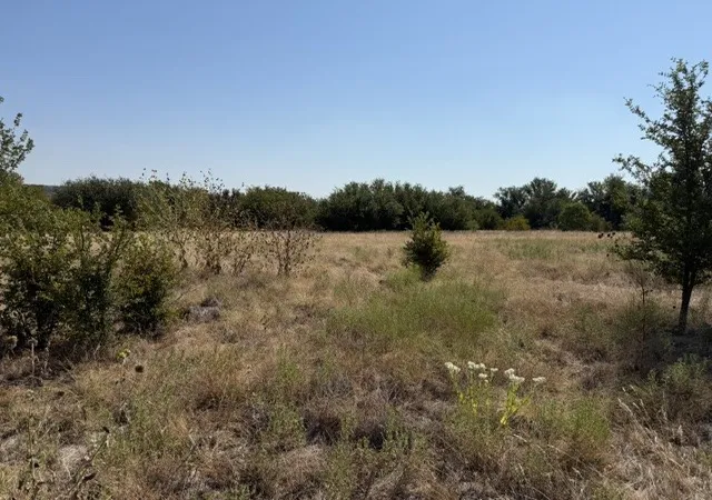 Photo 3 of Land for sale at Lot 8 Heron Ct, Graford, TX 76449 | MLS# 21378338 | Listing updated on 2026-09-05