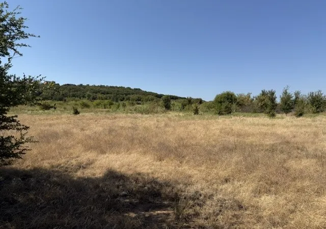 Photo 4 of Land for sale at Lot 8 Heron Ct, Graford, TX 76449 | MLS# 21378338 | Listing updated on 2026-09-05