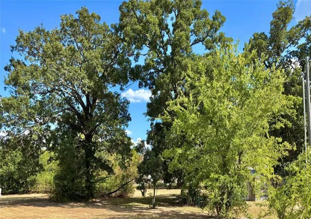 Photo 1 of Land for sale at 169 Navajo, Quitman, TX 75783 | MLS# 21374029 | Listing updated on 2026-09-06