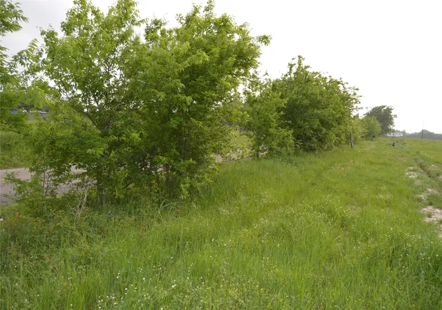 Land for sale at Tbd Lot 4&5 Rs County Rd 1520, Point, TX 75472 | MLS# 21378630