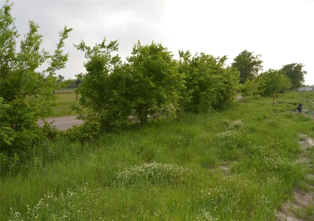 Photo 1 of Land for sale at Tbd Lot 4&5 Rs County Rd 1520, Point, TX 75472 | MLS# 21378630 | Listing updated on 2026-09-05