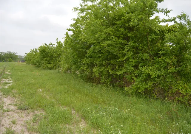 Photo 2 of Land for sale at Tbd Lot 4&5 Rs County Rd 1520, Point, TX 75472 | MLS# 21378630 | Listing updated on 2026-09-05