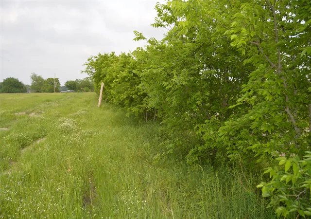 Photo 3 of Land for sale at Tbd Lot 4&5 Rs County Rd 1520, Point, TX 75472 | MLS# 21378630 | Listing updated on 2026-09-05