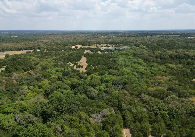 Photo 2 of Land for sale at 25 Acres County Rd 1019, Celeste, TX 75423 | MLS# 21378841 | Listing updated on 2026-09-05