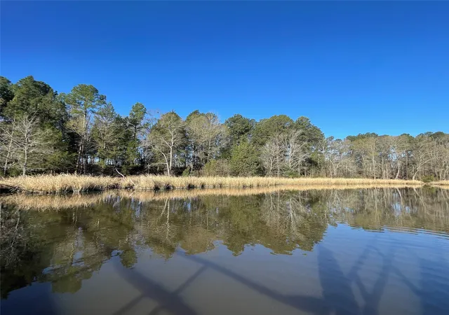 Photo 4 of Land for sale at Tbd Lot 6 County Rd 2200, Mineola, TX 75773 | MLS# 21342649 | Listing updated on 2026-09-05