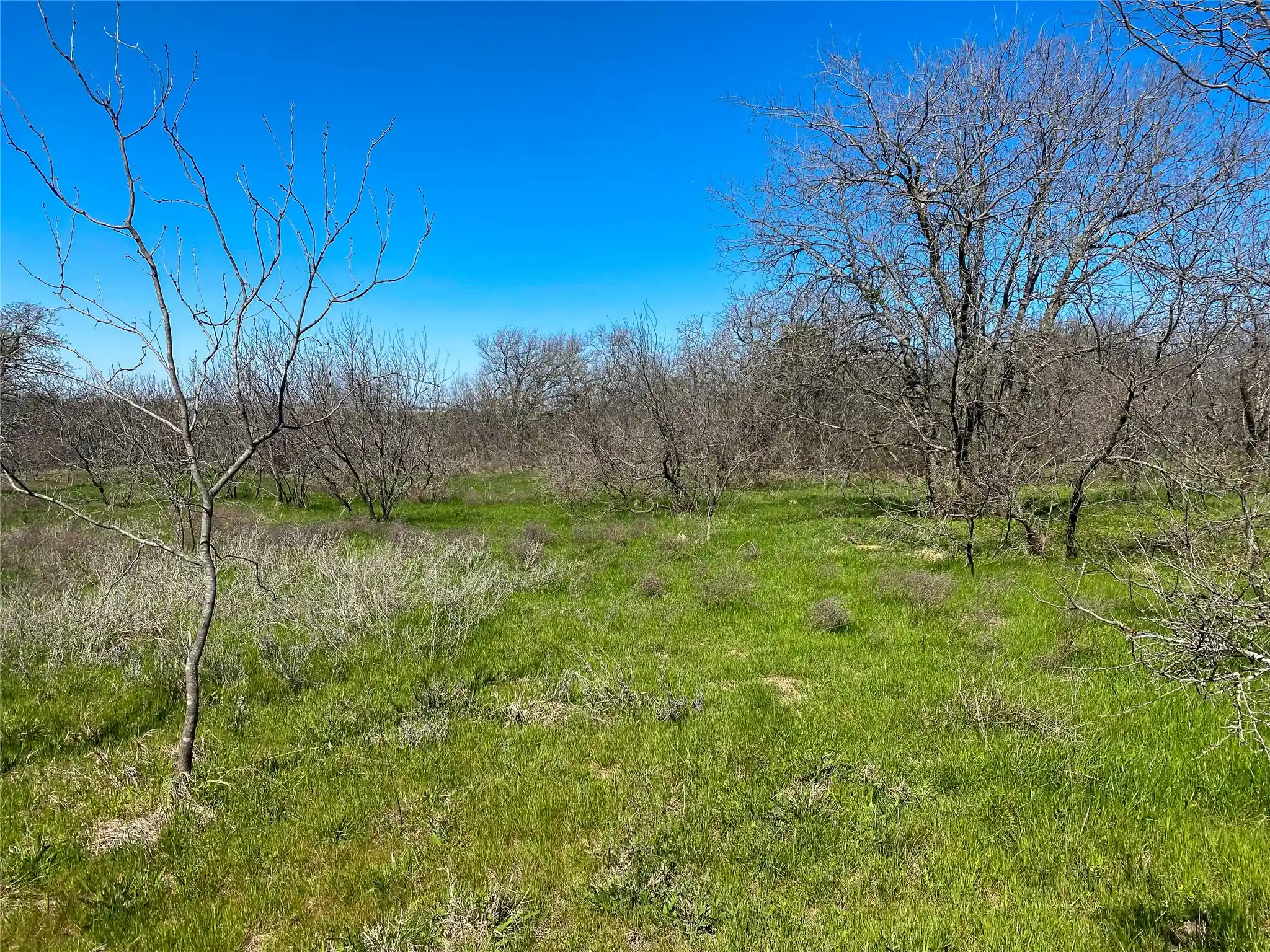 Photo 1 of Land for sale at 1700 Don Lee Rd, Joshua, TX 76058 | MLS# 21378920 | Listing updated on 2026-10-14