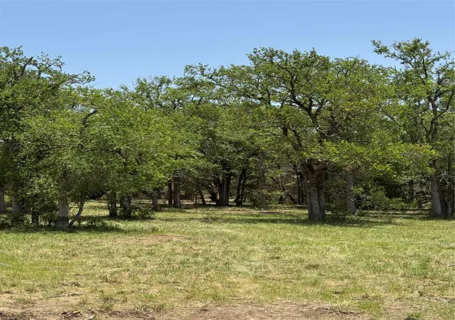 Photo 2 of Land for sale at Tbd 16030, Jonesboro, TX 76538 | MLS# 21379086 | Listing updated on 2026-10-07