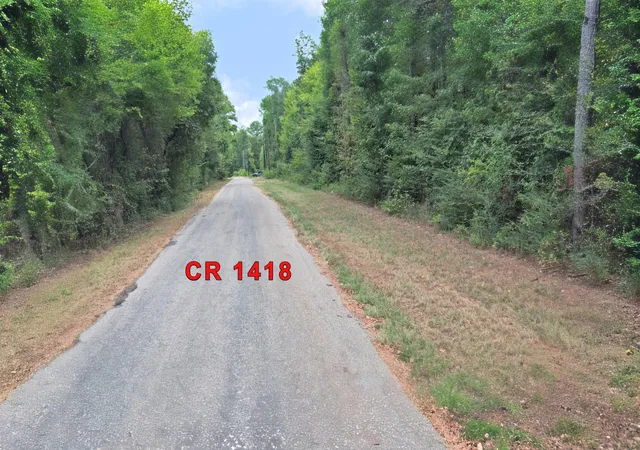 Photo 3 of Land for sale at Tbd Fm 69, Quitman, TX 75783 | MLS# 21370939 | Listing updated on 2026-09-05