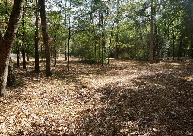 Photo 3 of Land for sale at Tbd Lot 146 (evening Shadows Trail) Trl, Hawkins, TX 75765 | MLS# 21379461 | Listing updated on 2026-09-06