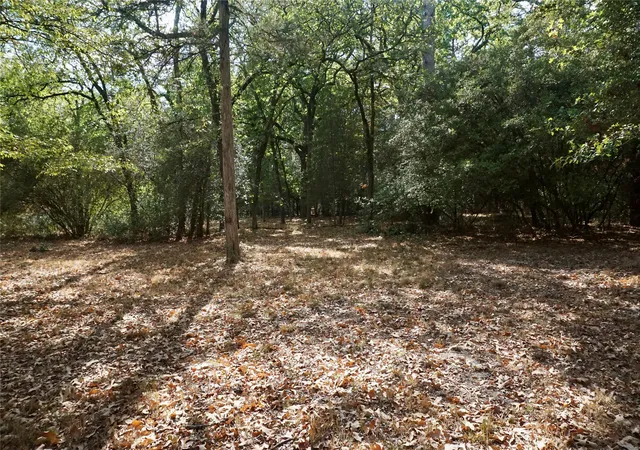 Photo 4 of Land for sale at Tbd Lot 146 (evening Shadows Trail) Trl, Hawkins, TX 75765 | MLS# 21379461 | Listing updated on 2026-09-06