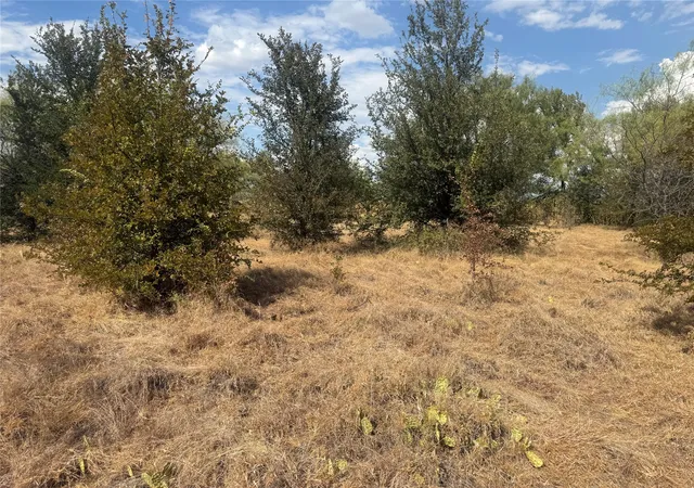 Photo 3 of Land for sale at 780 County Rd 410a, Comanche, TX 76442 | MLS# 21378902 | Listing updated on 2026-09-06