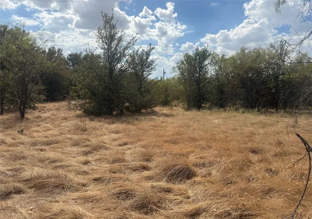 Photo 4 of Land for sale at 780 County Rd 410a, Comanche, TX 76442 | MLS# 21378902 | Listing updated on 2026-09-06