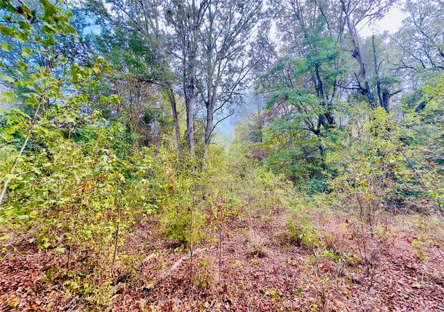 Photo 1 of Land for sale at 0000 Apple Tree Rd, Gilmer, TX 75644 | MLS# 21379659 | Listing updated on 2026-09-06