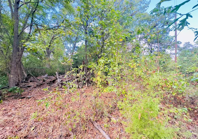 Photo 2 of Land for sale at 0000 Apple Tree Rd, Gilmer, TX 75644 | MLS# 21379659 | Listing updated on 2026-09-06