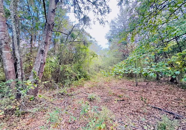 Photo 3 of Land for sale at 0000 Apple Tree Rd, Gilmer, TX 75644 | MLS# 21379659 | Listing updated on 2026-09-06
