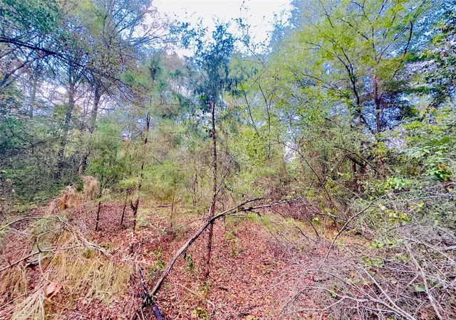 Photo 3 of Land for sale at 0000 Apple Tree Rd, Gilmer, TX 75644 | MLS# 21379659 | Listing updated on 2026-09-06