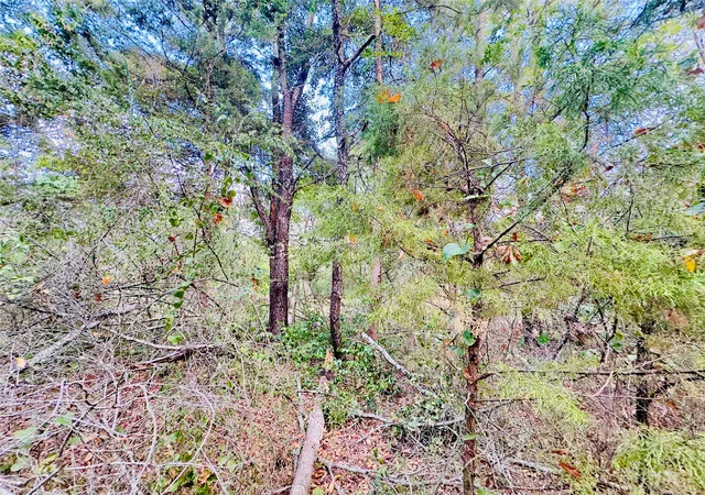 Photo 4 of Land for sale at 0000 Apple Tree Rd, Gilmer, TX 75644 | MLS# 21379659 | Listing updated on 2026-09-06