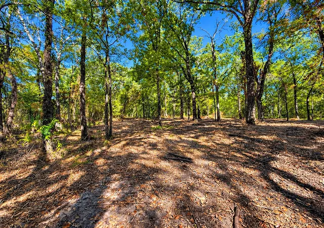 Photo 1 of Land for sale at Lot 2 Wood Crk Dr, Lone Oak, TX 75453 | MLS# 21381373 | Listing updated on 2026-10-05
