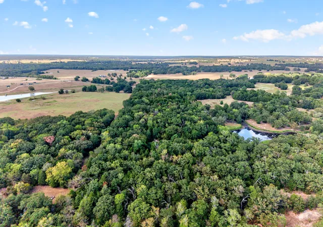 Photo 2 of Land for sale at 0 N Us Hwy 287, Athens, TX 75751 | MLS# 21383023 | Listing updated on 2026-09-27