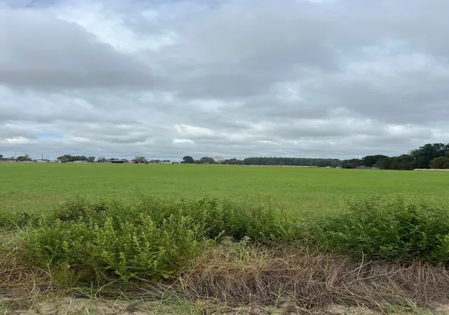 Photo 1 of Land for sale at 14018 County Rd 4122, Lindale, TX 75771 | MLS# 21385803 | Listing updated on 2026-09-15