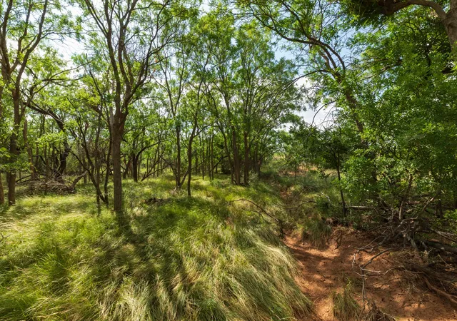 Photo 3 of Land for sale at 1 Cr 441, Sweetwater, TX 79556 | MLS# 21386723 | Listing updated on 2026-09-15