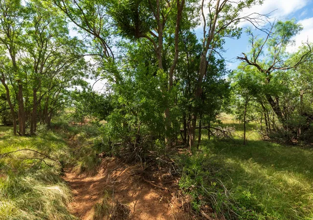 Photo 3 of House for sale at 1 Cr 441, Sweetwater, TX 79556 | MLS# 21386723 | Listing updated on 2026-09-15