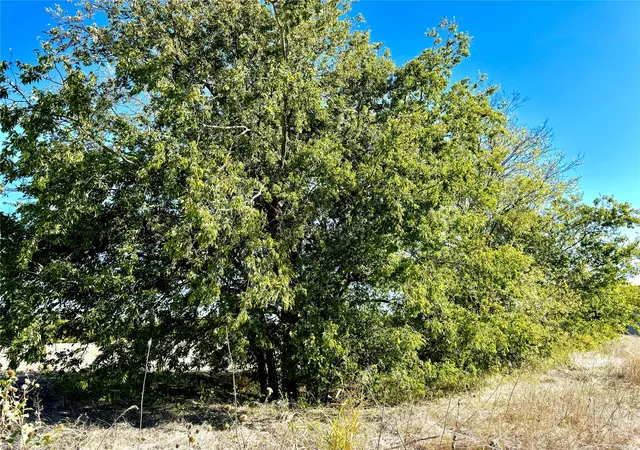 Photo 2 of Land for sale at Lot 10 Cr 590, Nevada, TX 75173 | MLS# 21387018 | Listing updated on 2026-09-15