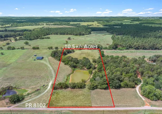 Photo 1 of Land for sale at 24619 Private Rd 8102, Frankston, TX 75763 | MLS# 21387112 | Listing updated on 2026-09-16