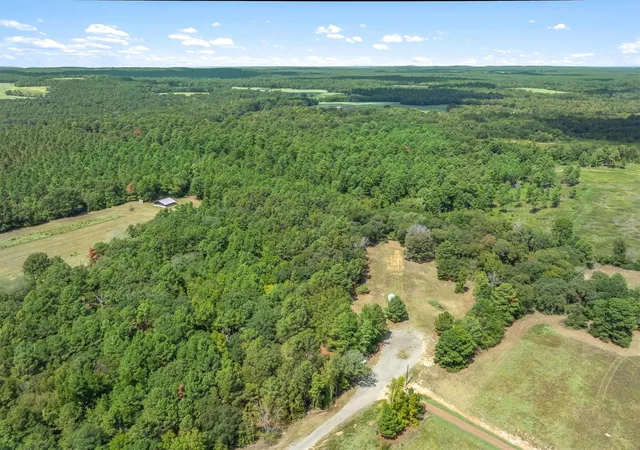 Photo 3 of Land for sale at 24670 Private Rd 8102, Frankston, TX 75763 | MLS# 21387122 | Listing updated on 2026-10-06