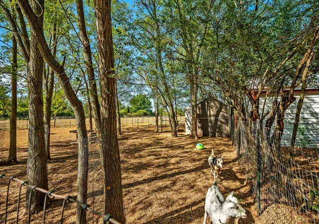 Photo 3 of Single family home for sale at 267 Delphia Dr, Denison, TX 75021 | MLS# 21386765 | Listing updated on 2026-10-06