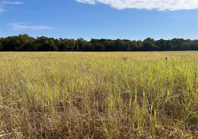 Photo 1 of Land for sale at Tbd8 County Rd 141, Callisburg, TX 76240 | MLS# 21387324 | Listing updated on 2026-09-16