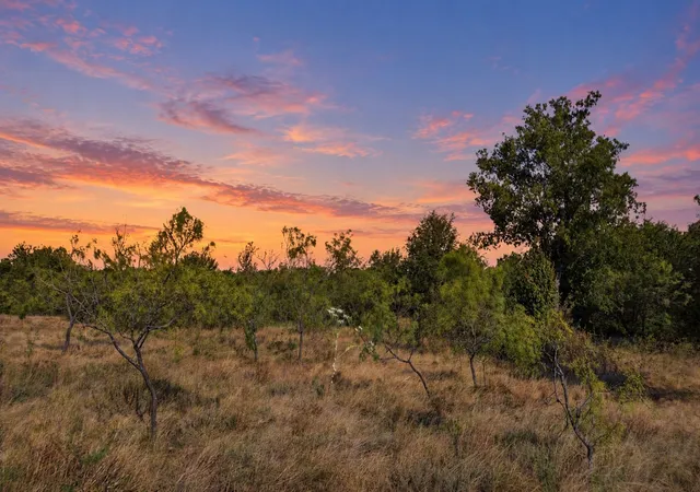 Land for sale at Lot 46 Twisted Crk Ranch, Gustine, TX 76455 | MLS# 21387422