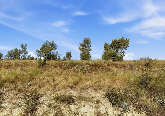 Photo 2 of Land for sale at Lot 46 Twisted Crk Ranch, Gustine, TX 76455 | MLS# 21387422 | Listing updated on 2026-09-16