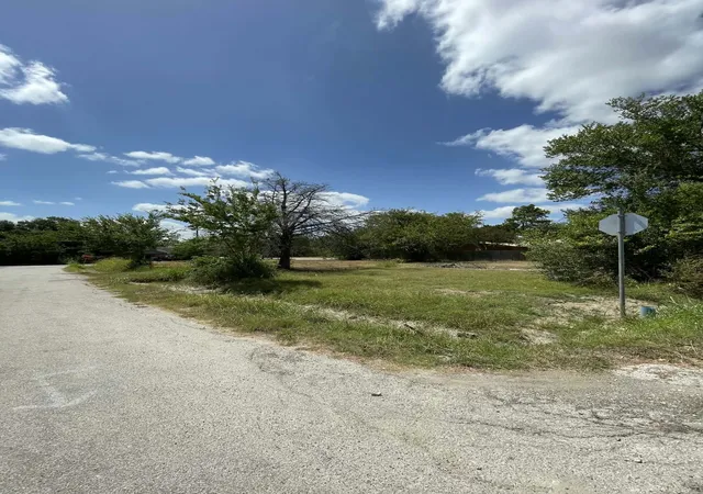 Photo 4 of Land for sale at 801 Thornton Carter St, Mexia, TX 76667 | MLS# 21387409 | Listing updated on 2026-09-16