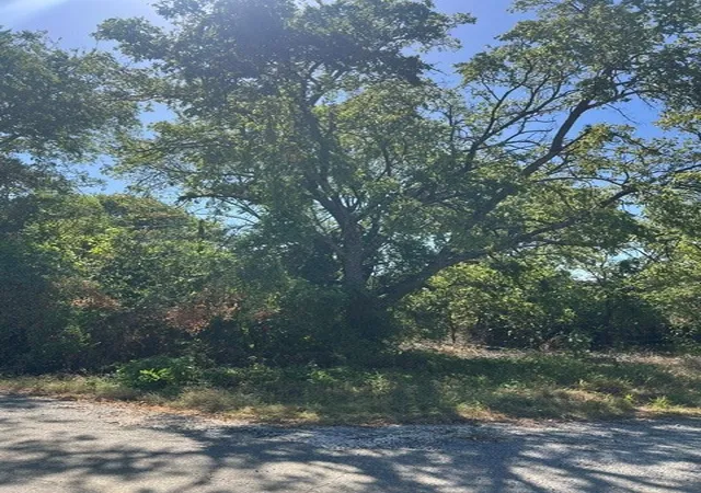Photo 2 of Land for sale at 276 Castle Dr, Pottsboro, TX 75076 | MLS# 21387635 | Listing updated on 2026-09-16